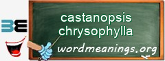 WordMeaning blackboard for castanopsis chrysophylla